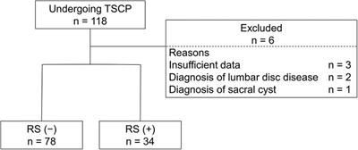 Factors leading to open revision surgery after trans-sacral canal plasty for lumbar spine disease